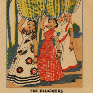 Tea Pluckers
